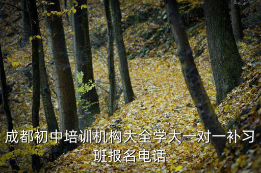 成都市第一寶貝教育咨詢有限公司，成都品牌家教機(jī)構(gòu)推薦學(xué)大教育一對一輔導(dǎo)
