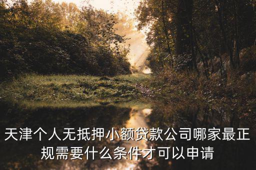 天津個人無抵押小額貸款公司哪家最正規需要什么條件才可以申請