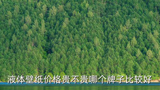 液體壁紙價格貴不貴哪個牌子比較好