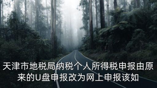 天津市地稅局納稅個人所得稅申報由原來的U盤申報改為網上申報該如