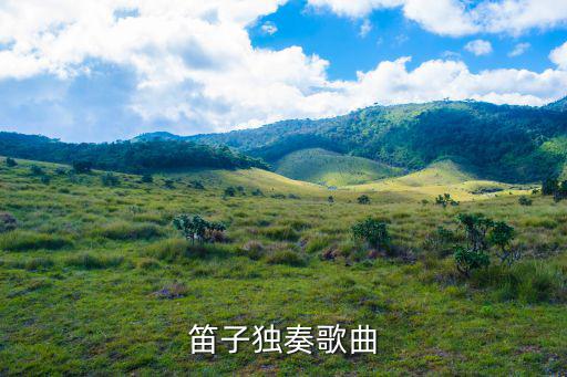 笛子獨(dú)奏歌曲