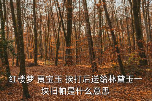 紅樓夢 賈寶玉 挨打后送給林黛玉一塊舊帕是什么意思