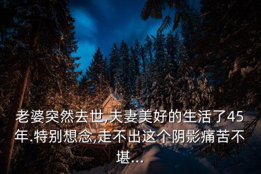 老婆突然去世,夫妻美好的生活了45年.特別想念,走不出這個陰影痛苦不堪...