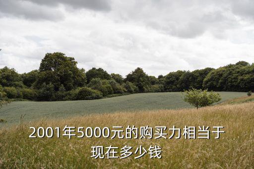 2001年5000元的購買力相當于現(xiàn)在多少錢
