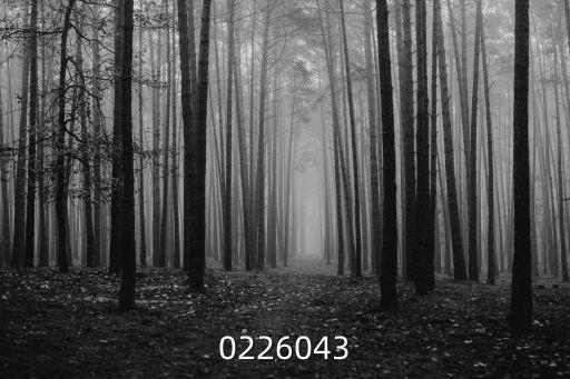 0226043