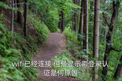 網絡登錄認證，wifi已經連接 但是顯示需登錄認證是何原因