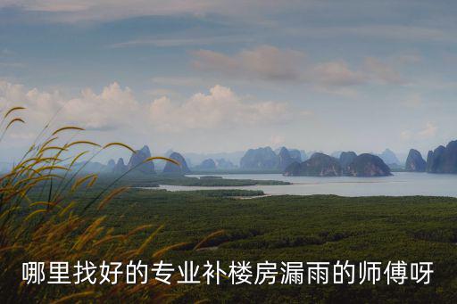 哪里找好的專業補樓房漏雨的師傅呀