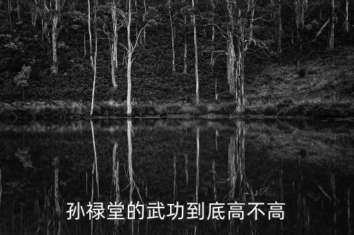 孫祿堂的武功到底高不高