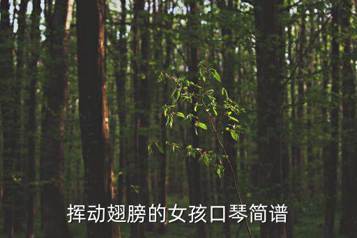 揮著翅膀的女孩簡譜，求揮著翅膀的女孩簡譜或者五線譜