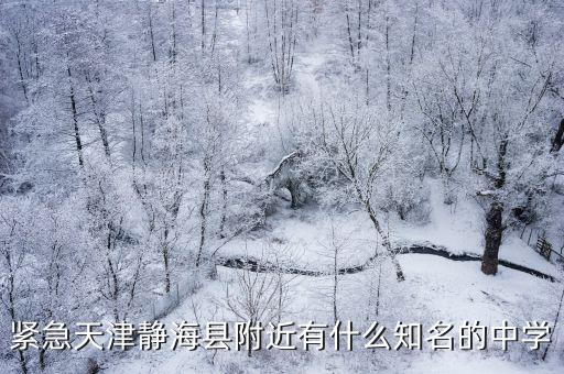 天津市靜海區初中校，緊急天津靜?？h附近有什么知名的中學