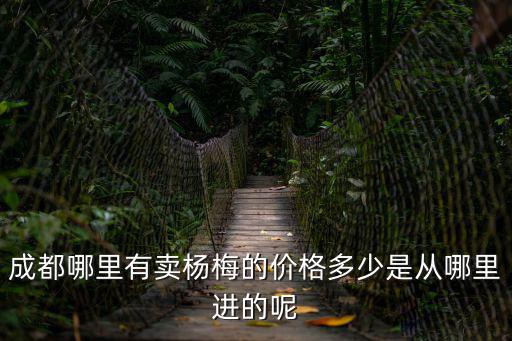 成都哪里有賣楊梅的價格多少是從哪里進的呢