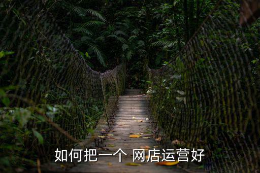 如何把一個 網店運營好