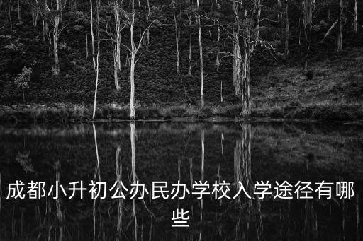 成都市小升初民辦報名流程，成都小升初公辦民辦學校入學途徑有哪些
