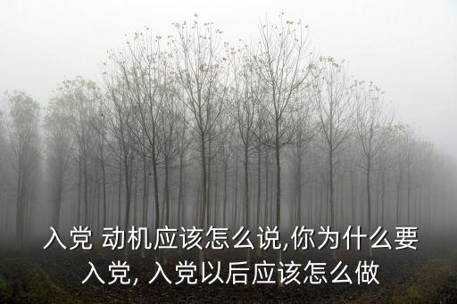  入黨 動機應該怎么說,你為什么要 入黨, 入黨以后應該怎么做
