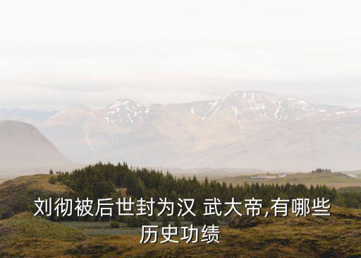 漢武大帝劉徹,漢武帝劉徹(劉智）