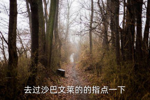 去過沙巴文萊的的指點一下