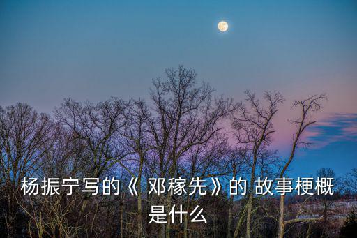 楊振寧寫的《 鄧稼先》的 故事梗概是什么