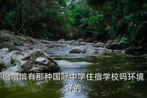 哈爾濱最好的國際學校，哈爾濱有那種國際中學住宿學校嗎環境好的