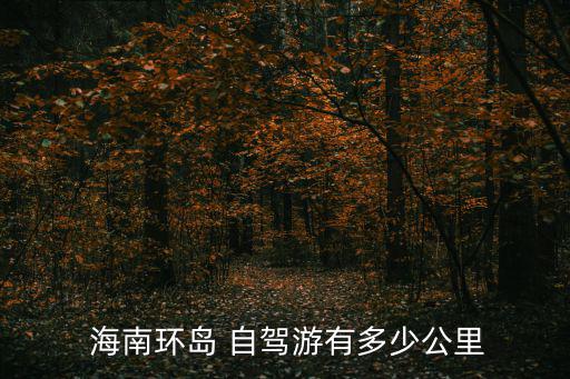  海南環(huán)島 自駕游有多少公里