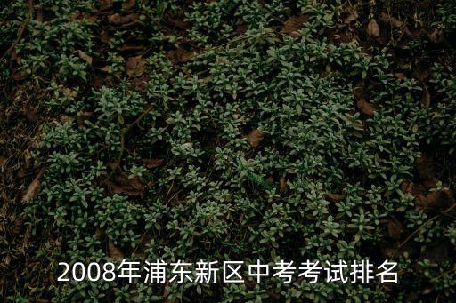 2008年浦東新區中考考試排名