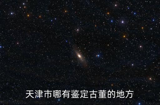 天津市哪有鑒定古董的地方