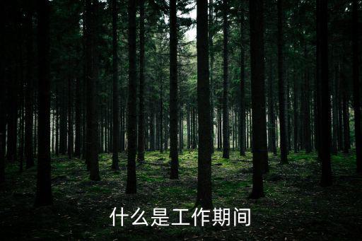工作期間，什么是工作期間