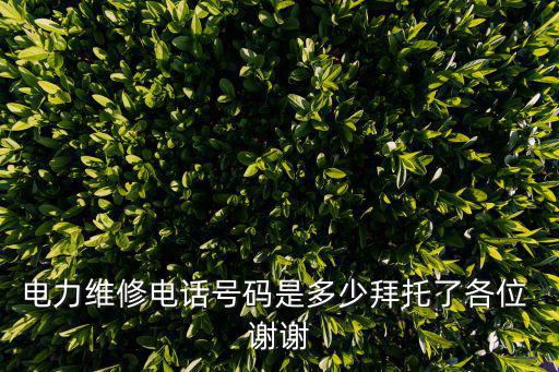 電力維修電話號(hào)碼是多少拜托了各位 謝謝