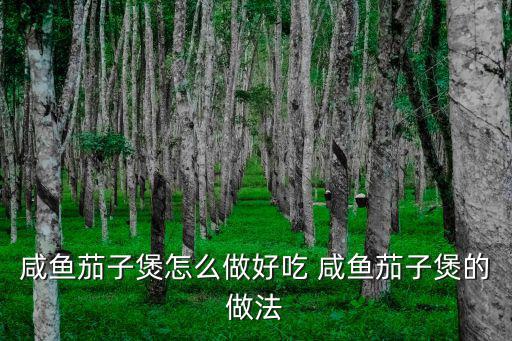 咸魚茄子煲的做法，咸魚茄子煲怎么做好吃 咸魚茄子煲的做法
