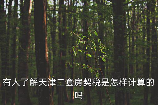 有人了解天津二套房契稅是怎樣計算的嗎