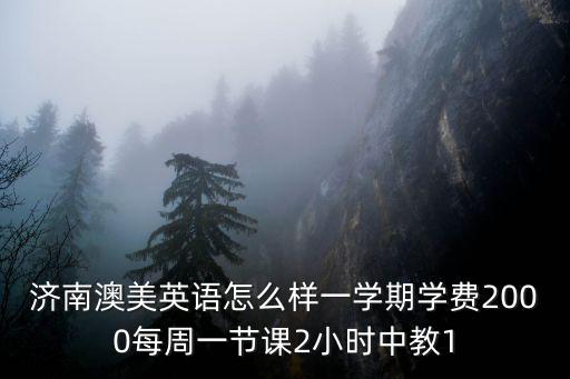 天華英澳美國(guó)際高中學(xué)費(fèi)，濟(jì)南澳美英語(yǔ)怎么樣一學(xué)期學(xué)費(fèi)2000每周一節(jié)課2小時(shí)中教1
