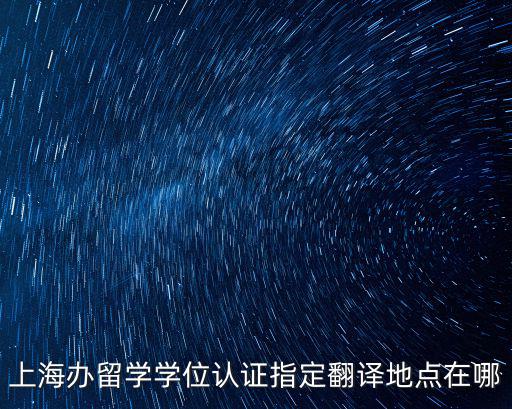 上海政府認(rèn)證的翻譯機(jī)構(gòu)，上海翻譯公司具體有哪些口碑好的是哪家