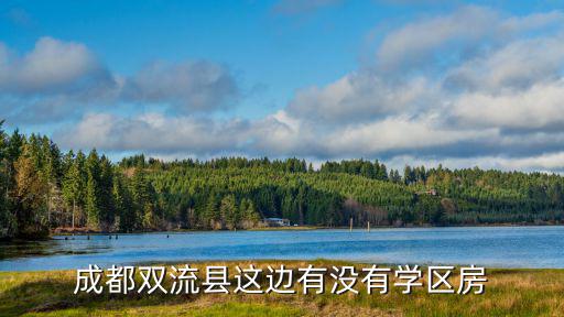 成都雙流縣這邊有沒有學區房