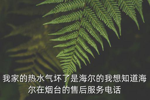 我家的熱水氣壞了是海爾的我想知道海爾在煙臺的售后服務電話