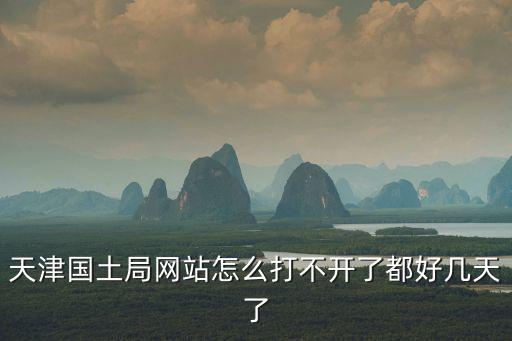 天津國土局網站怎么打不開了都好幾天了