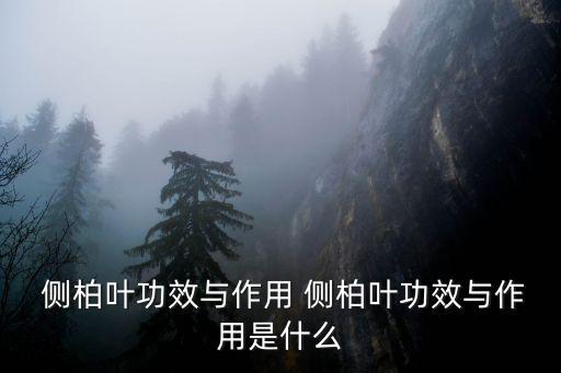 側(cè)柏葉的作用,白發(fā)時(shí)可用側(cè)柏葉洗頭或泡酒?