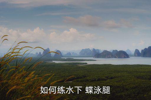 如何練水下 蝶泳腿
