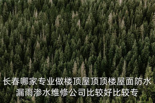 長春哪家專業做樓頂屋頂頂樓屋面防水漏雨滲水維修公司比較好比較專