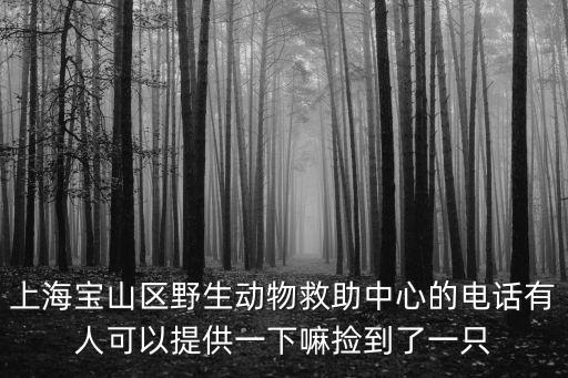 上海寶山區野生動物救助中心的電話有人可以提供一下嘛撿到了一只