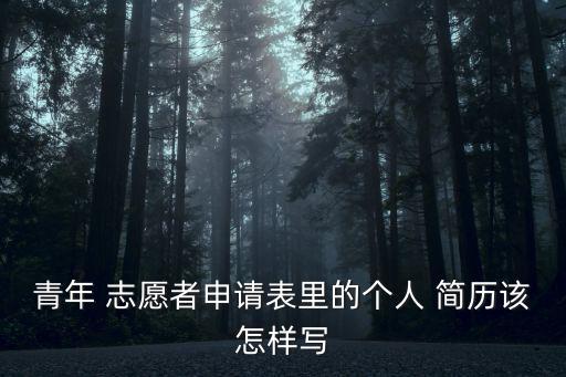青年 志愿者申請(qǐng)表里的個(gè)人 簡(jiǎn)歷該怎樣寫(xiě)