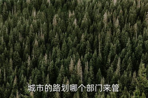 城市的路劃哪個部門來管