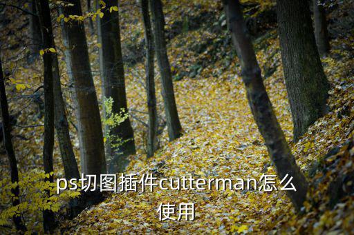 ps切圖插件cutterman怎么使用