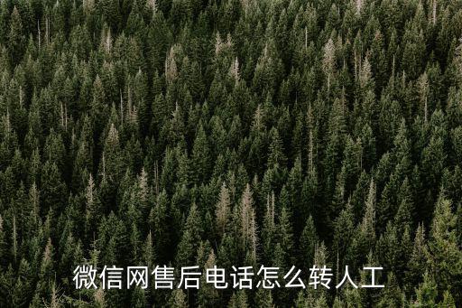 微信網(wǎng)售后電話怎么轉(zhuǎn)人工