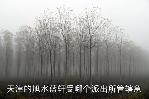 天津的旭水藍軒受哪個派出所管轄急