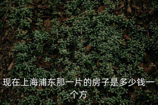 現在上海浦東那一片的房子是多少錢一個方