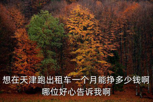 想在天津跑出租車一個月能掙多少錢啊哪位好心告訴我啊