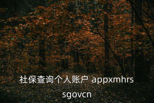 社保查詢個人賬戶 appxmhrssgovcn