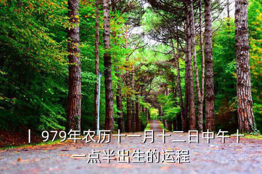 979年,1979年出生的人