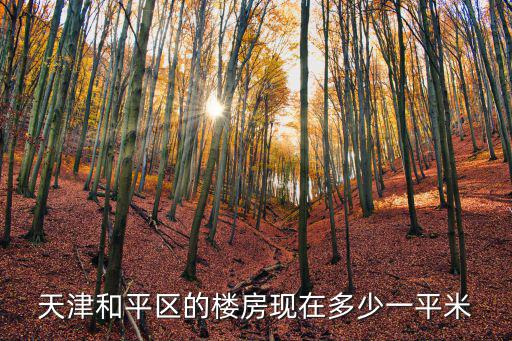 天津和平區(qū)的樓房現在多少一平米