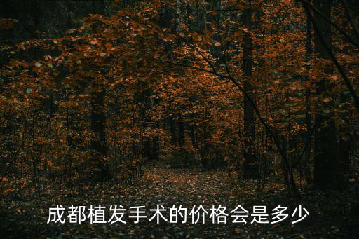 成都植發(fā)手術(shù)的價格會是多少