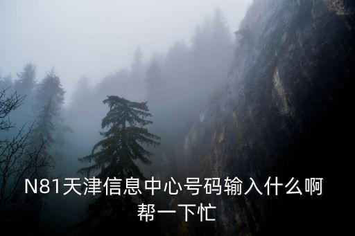 天津市人防信息保障中心，N81天津信息中心號碼輸入什么啊 幫一下忙